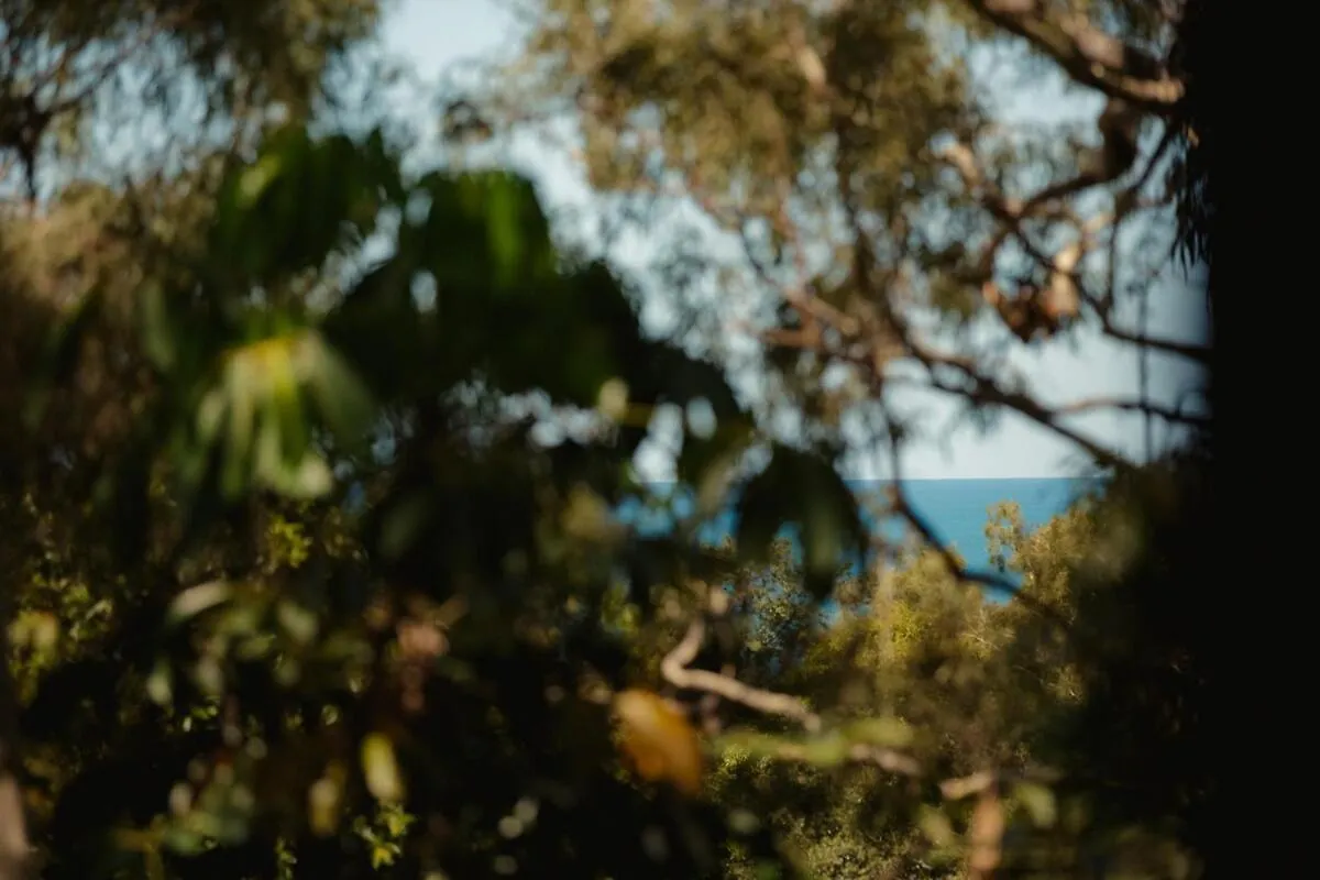 Holiday home Reinwood Retreat - A Home Nestled In The Treetops Of A Rainforest Trinity Beach Australia
