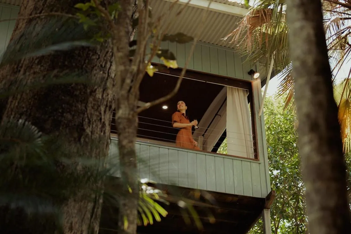 Reinwood Retreat - A Home Nestled In The Treetops Of A Rainforest Trinity Beach Holiday home